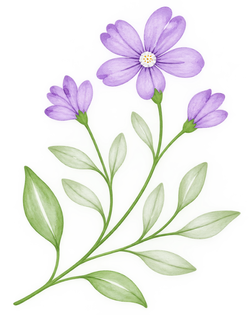 Watercolor illustration of a purple flower with green leaves, featuring three blossoms and a white center.
