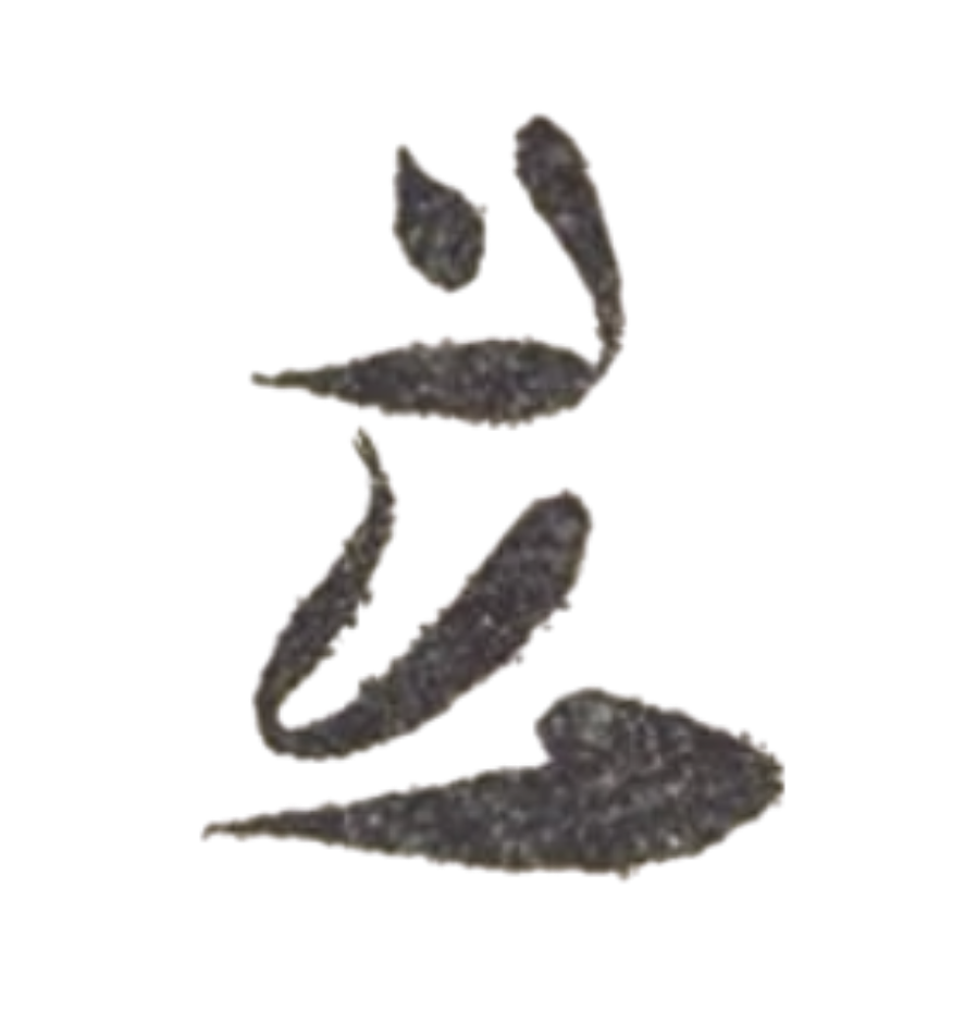 Close-up of five dried, curved, dark gray seeds or pods with rough texture arranged against a black background.