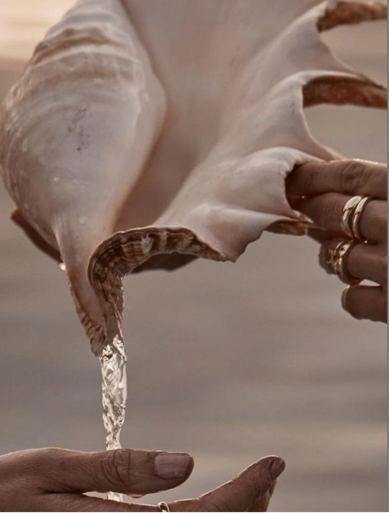 A person's hand holding a large, beige seashell with brown edges, with water gently pouring out of the shell.