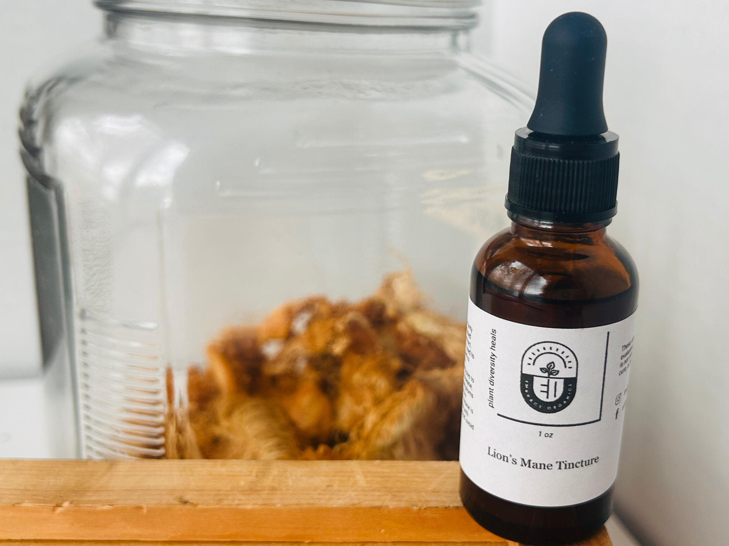 Lion's Mane Tincture