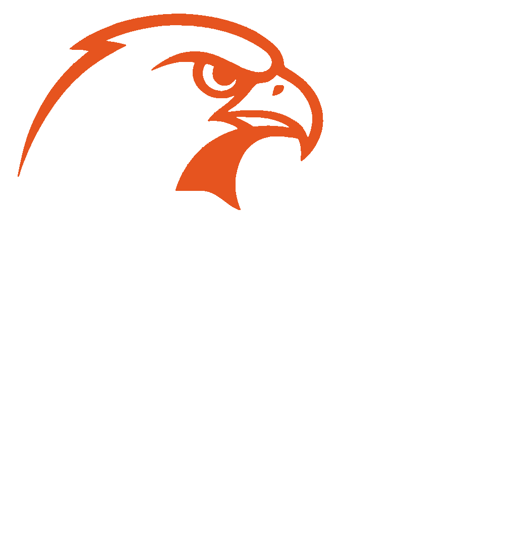 The Falcon Show