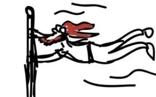Flagpoleguy LLC