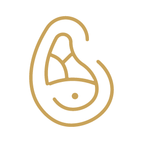Wagyu Icon
