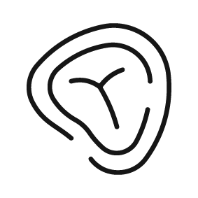 Beef Icon