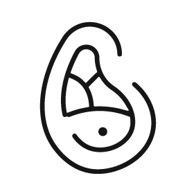 Wagyu Icon