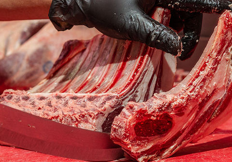 A gloved hand cutting through a large piece of raw meat chops.