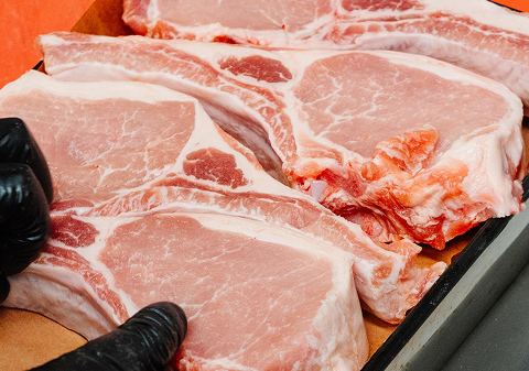 Several raw pork chops placed on a tray, with a person's hand wearing a black glove holding one of the chops.