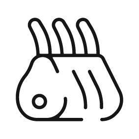Lamb Icon