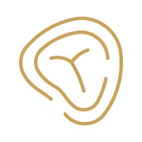 Beef Icon