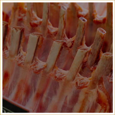 Close-up of raw lamb chops