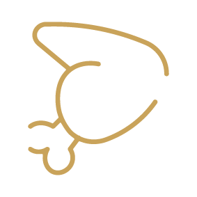 Wild Game Icon