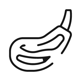 Veal Icon