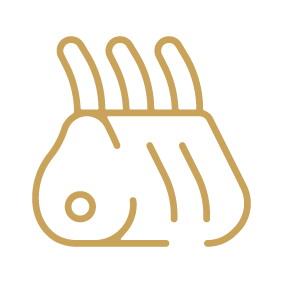Lamb Icon