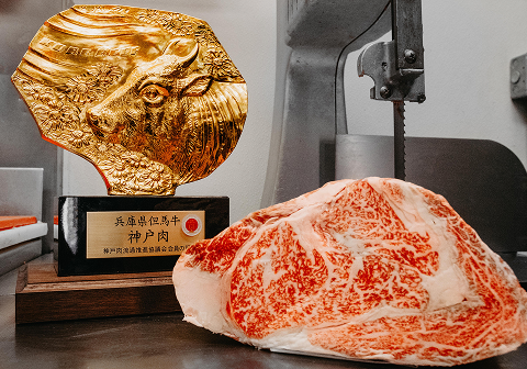 A large, marbled cut of japanese Wagyu beef on a metal surface, with our Certified Wholesaler trophy.