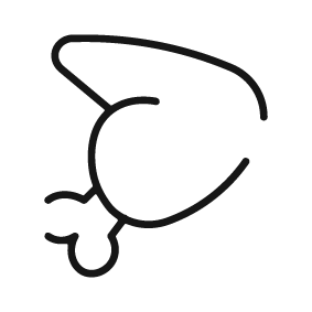 Wild Game Icon