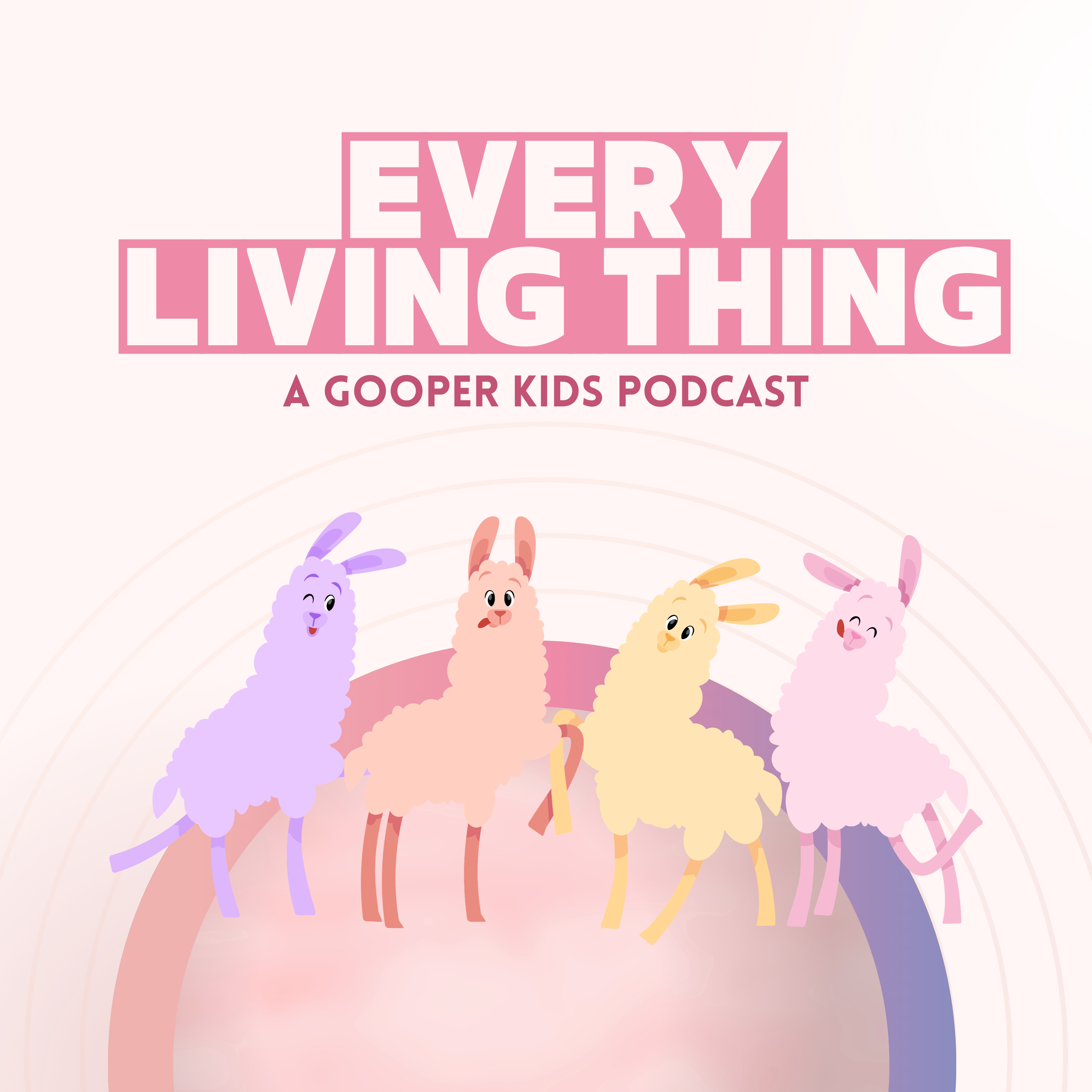 Four colorful, cartoon-style llamas with happy expressions standing on a pink background, with rainbows and clouds surrounding them.