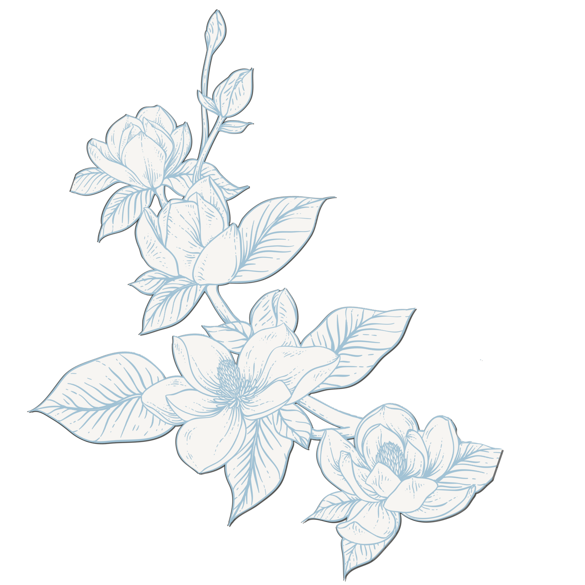 White floral illustration on black background, featuring detailed line work of roses and leaves.