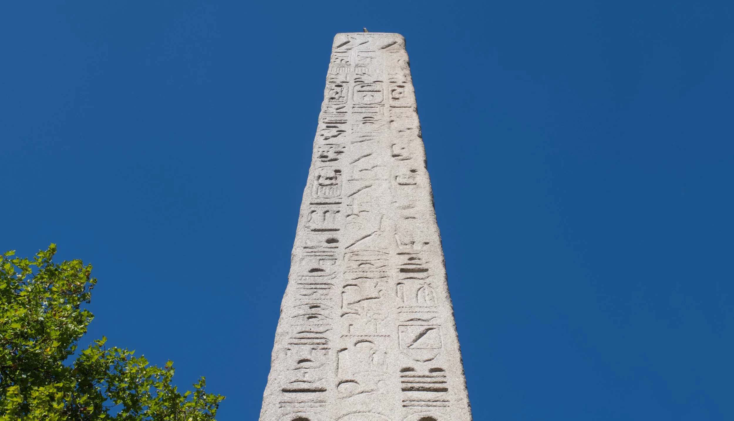 Ancient Egyptian obelisk with hieroglyphics against a clear blue sky, with green trees at the base.