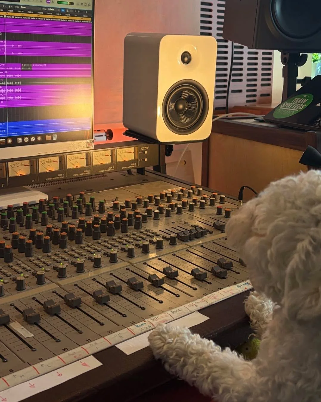 Trust me I got this🐶💬
.
.
.
#mixrummet #mixrummetuppsala #musikstudio #hunde #mixproffs