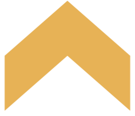 A gold-colored chevron or arrow symbol pointing upward.
