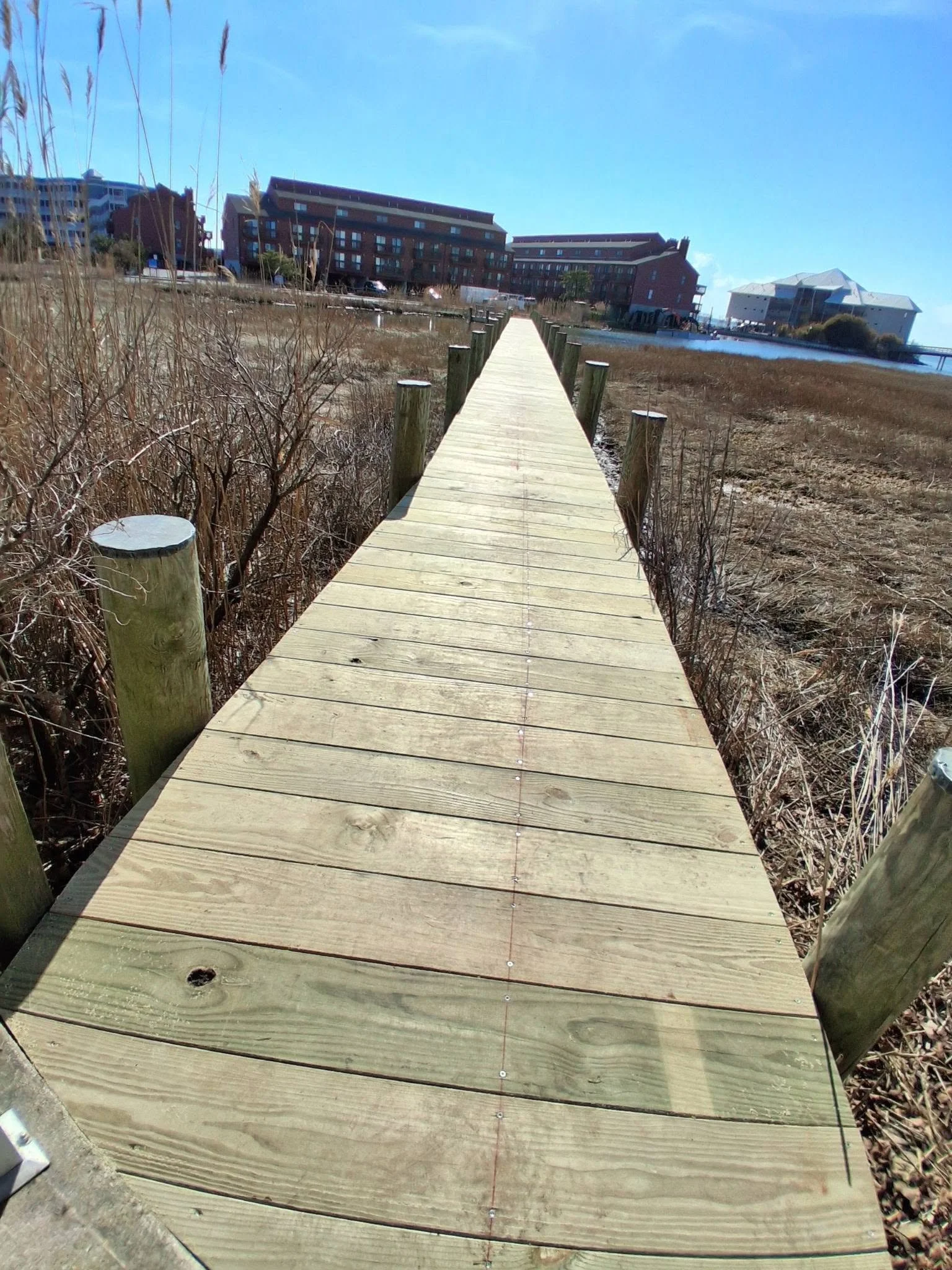 A wooden boardwalk pathway extending towards modern buildings by a body of water, under a clear blue sky.