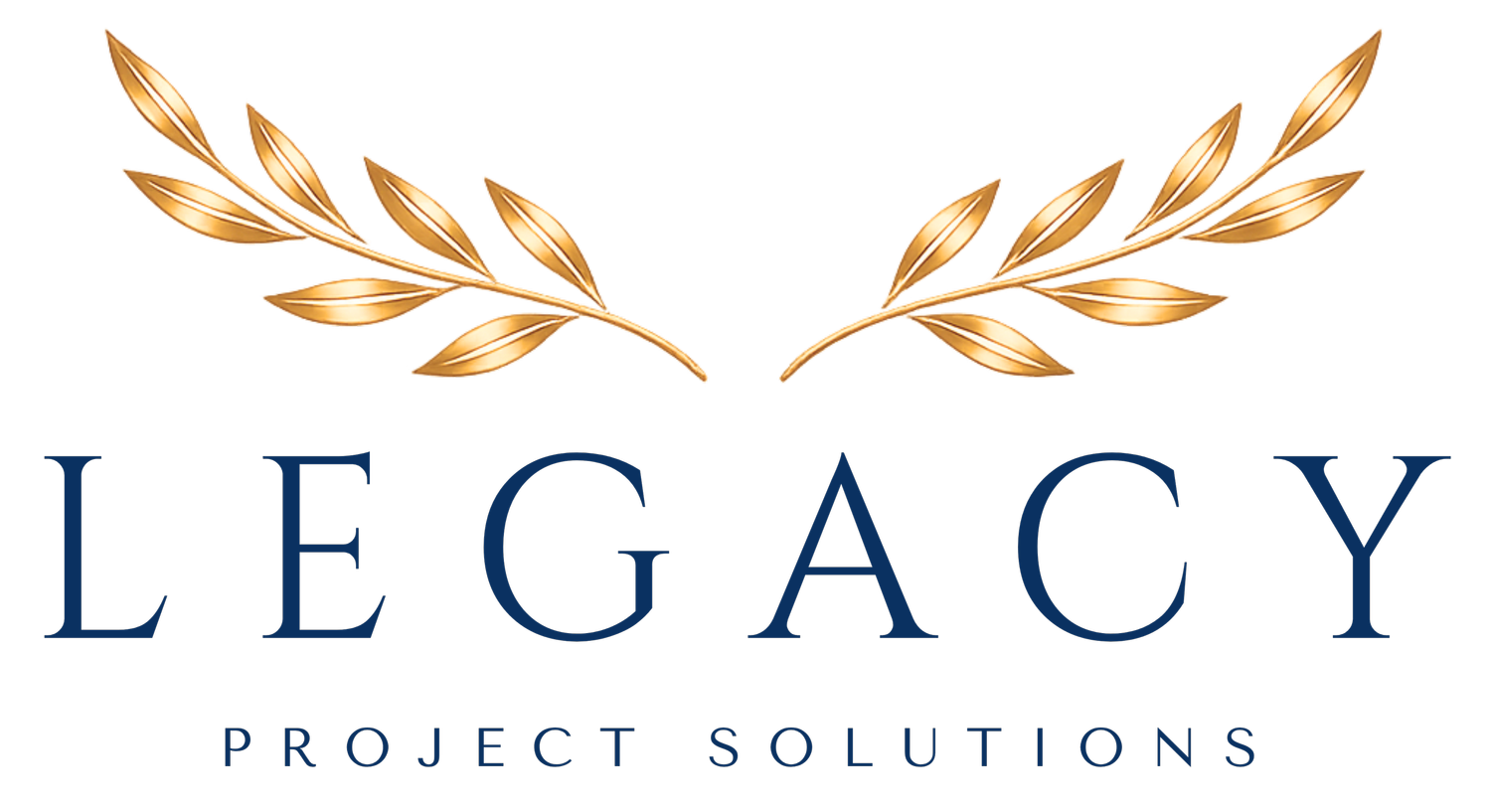 Legacy Project Solutions