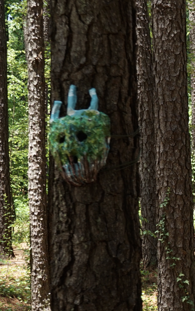 Pine Tree 1