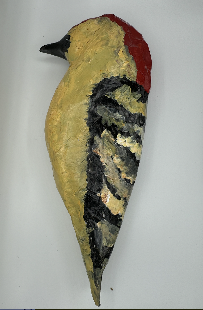 Red-bellied Woodpecker