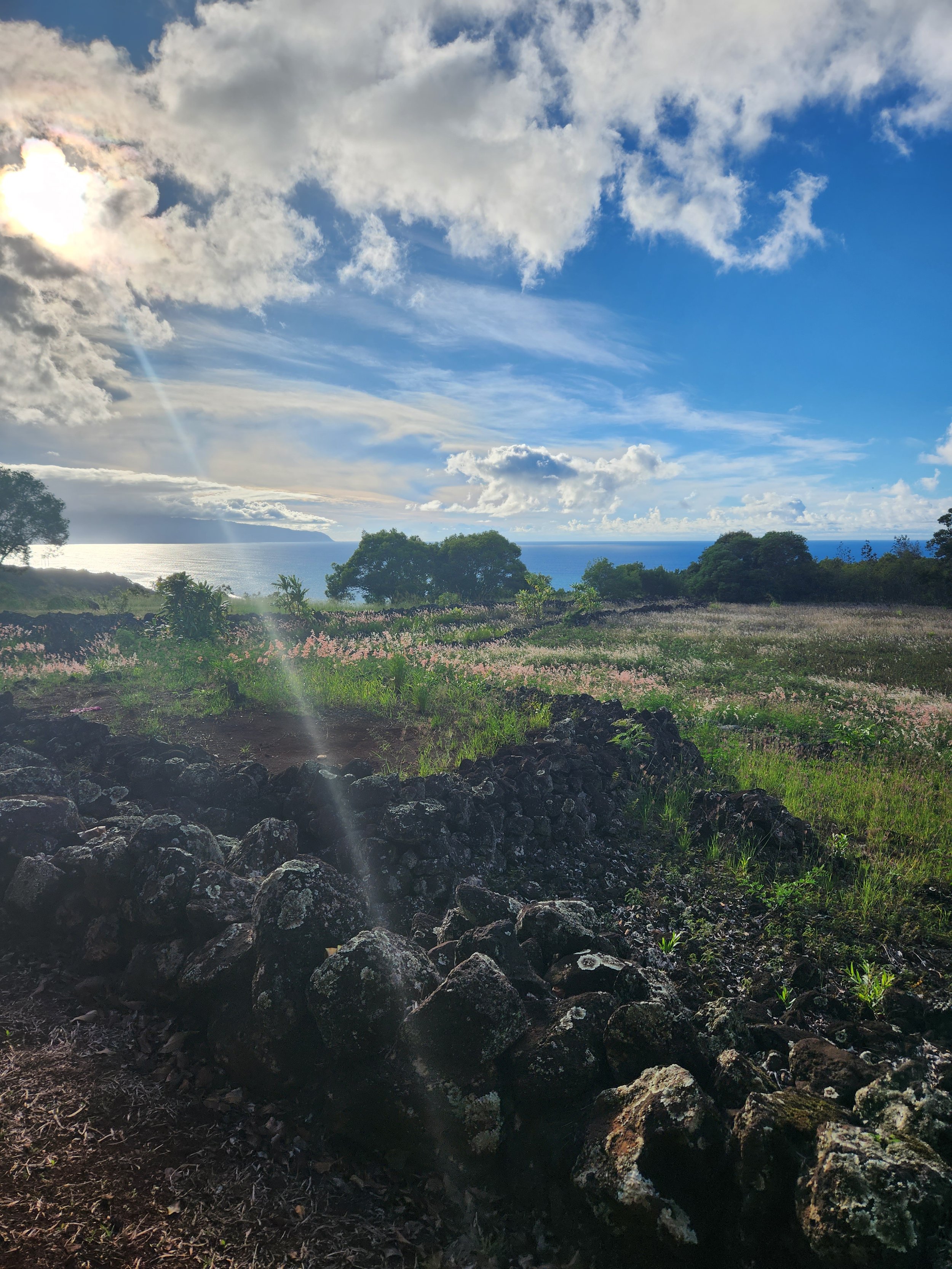 Whakatō | Grounding