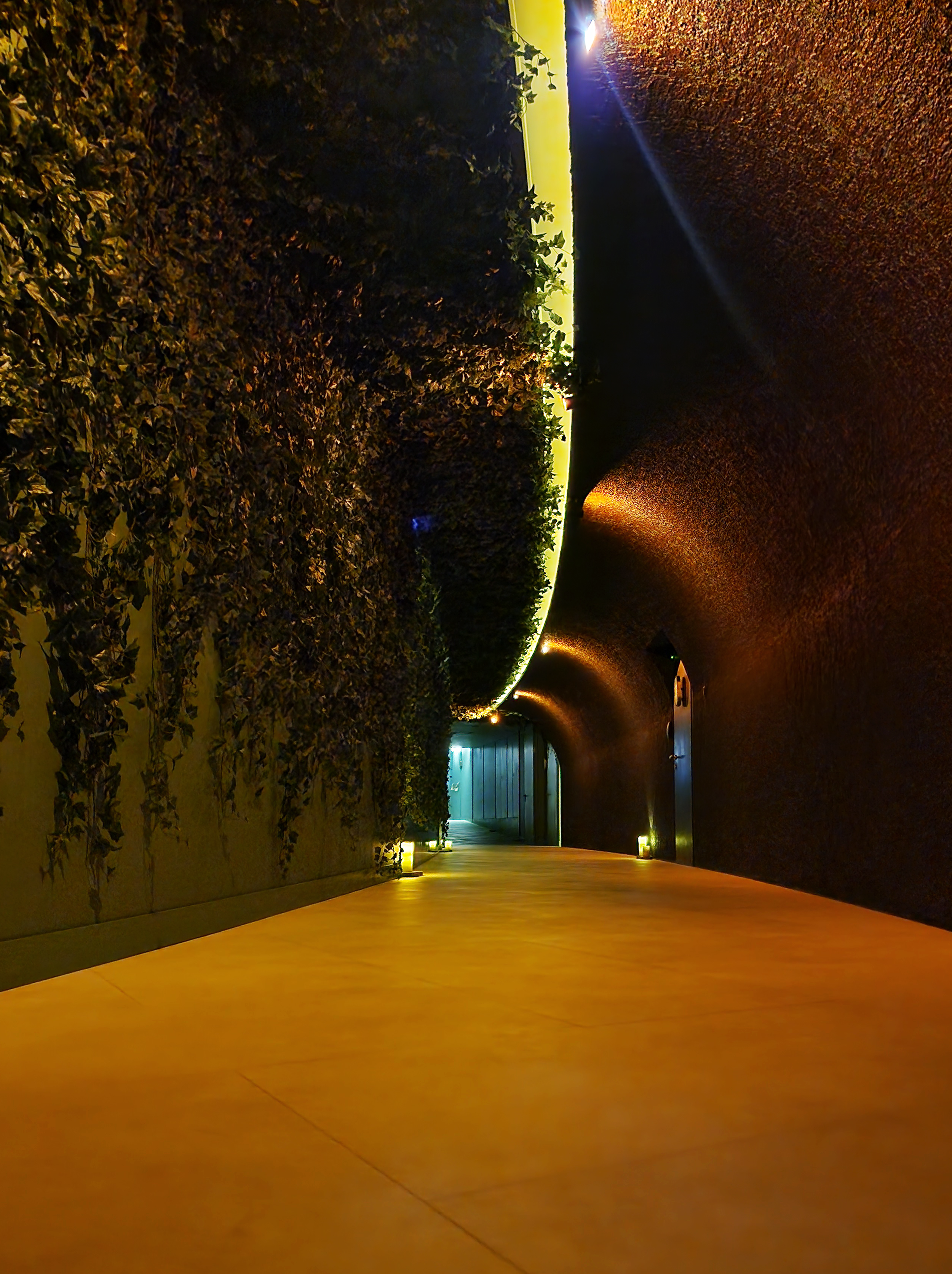 Spa Tunnel.jpeg