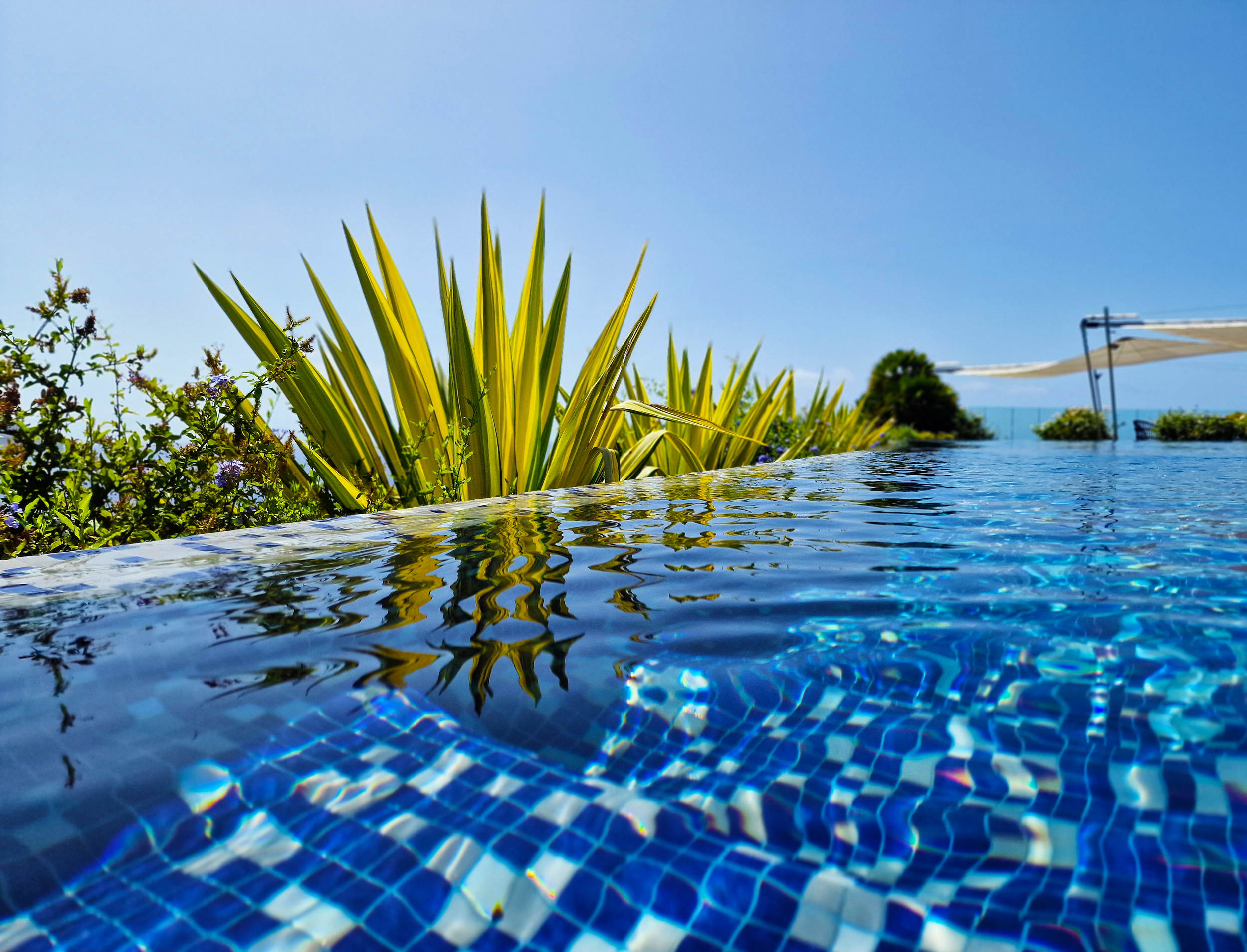 Rooftop Pool.png