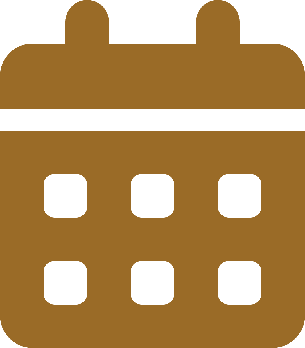 Icon of a brown backpack with black accents and multiple compartments.