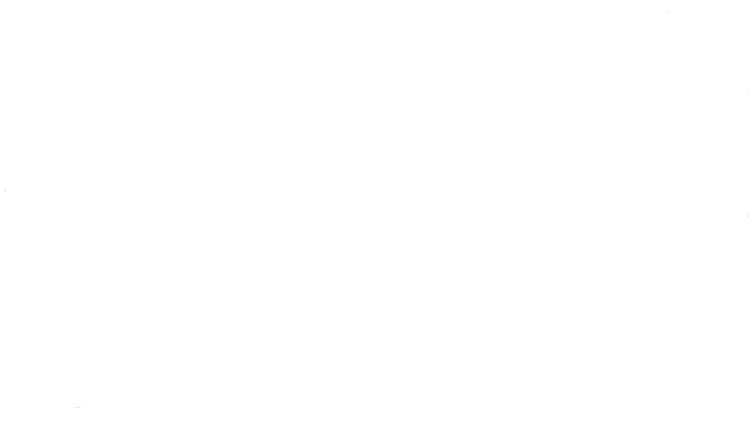 MT PORTFOLIO