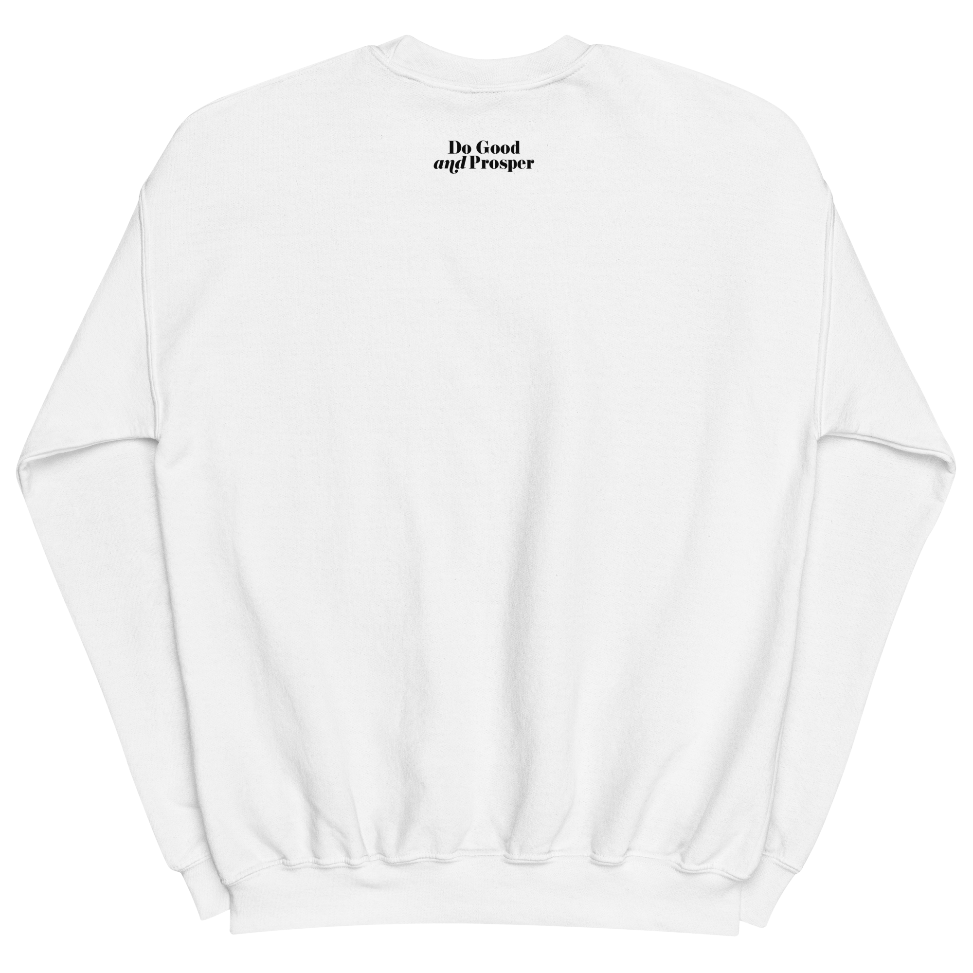 unisex-crew-neck-sweatshirt-white-back-6ab9cb0d3077e.png