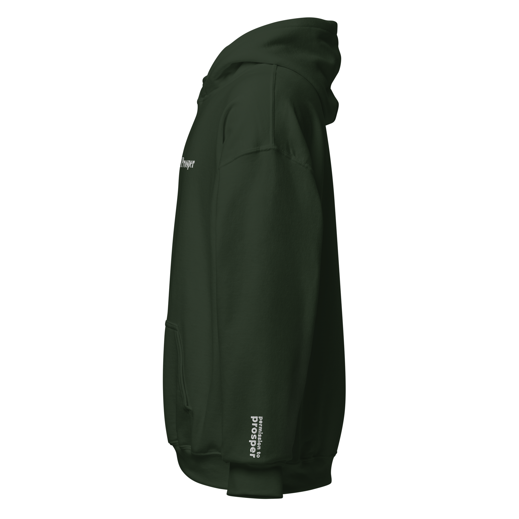 unisex-heavy-blend-hoodie-forest-green-left-6ab9cbde9a199.png