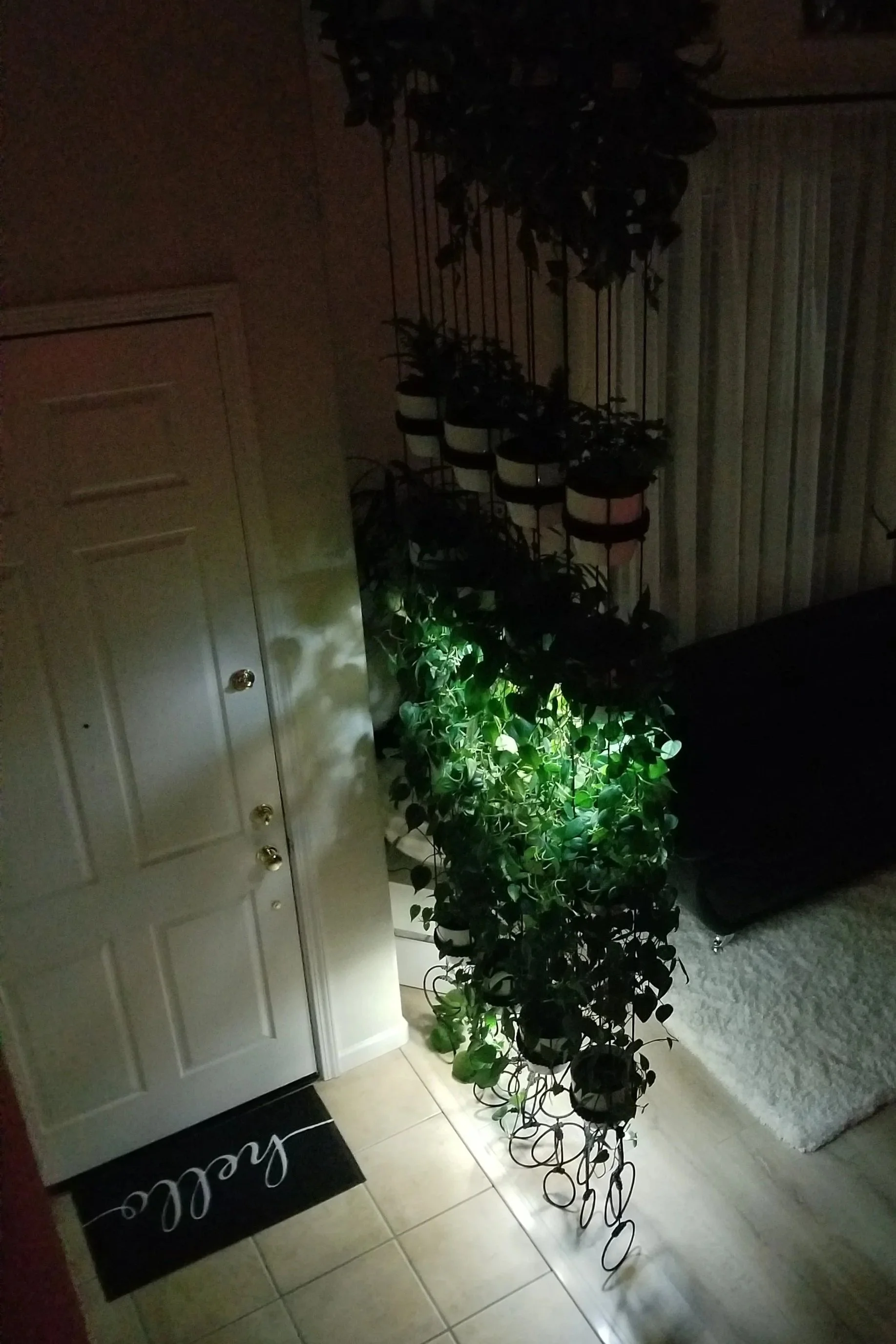 Illuminated living plant divider with hanging greenery at night