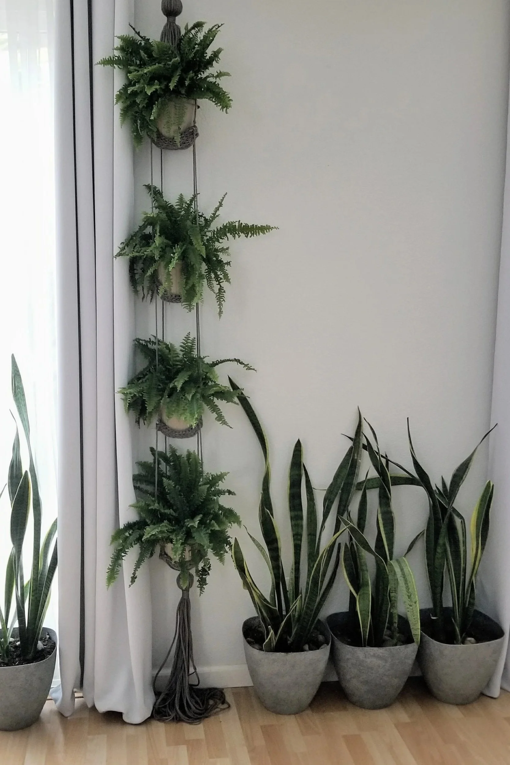 Early hanging planter prototype with four vertically arranged ferns