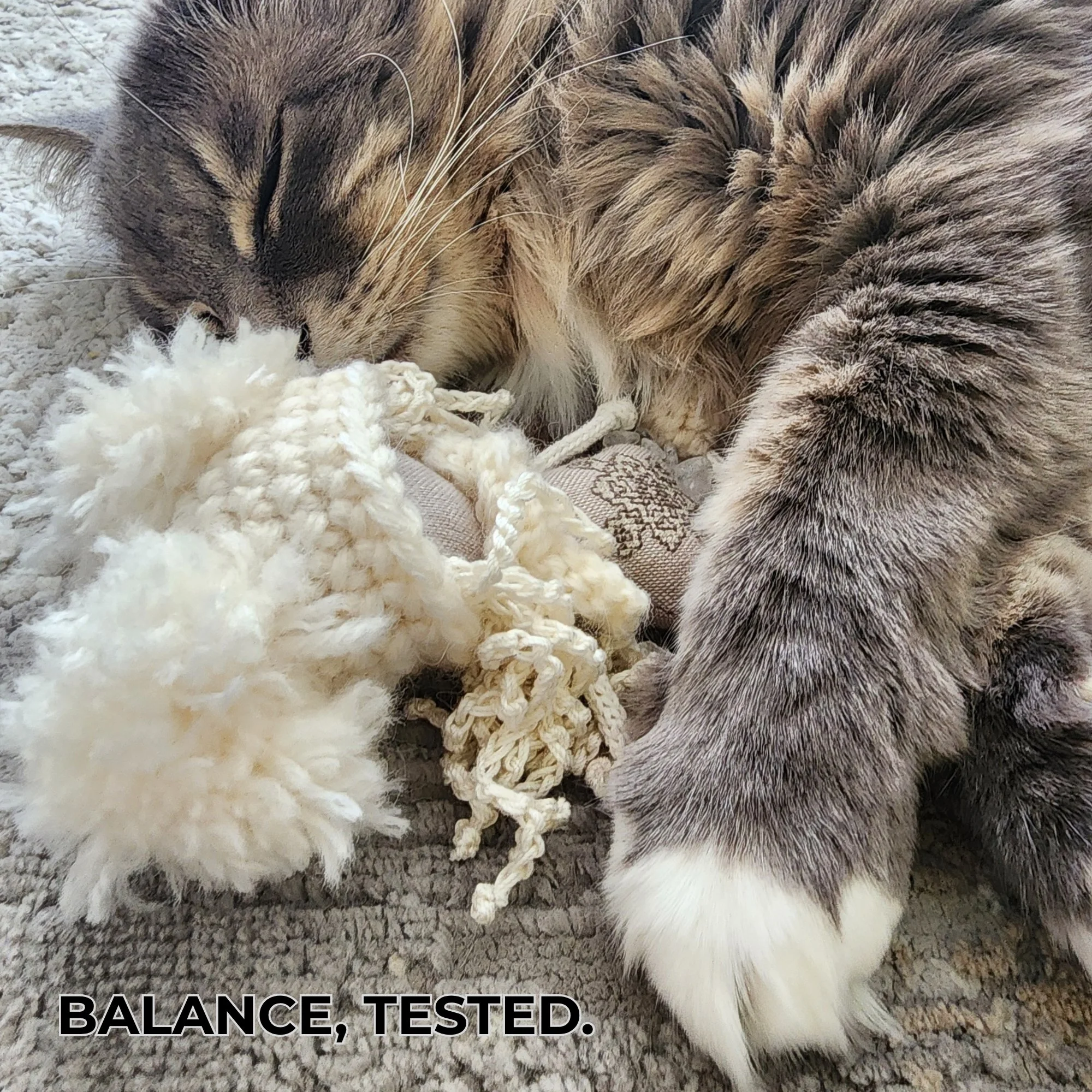 Sleeping cat curled around an OMmi embroidered with the encoded word Balance, with the caption “Balance, tested.”