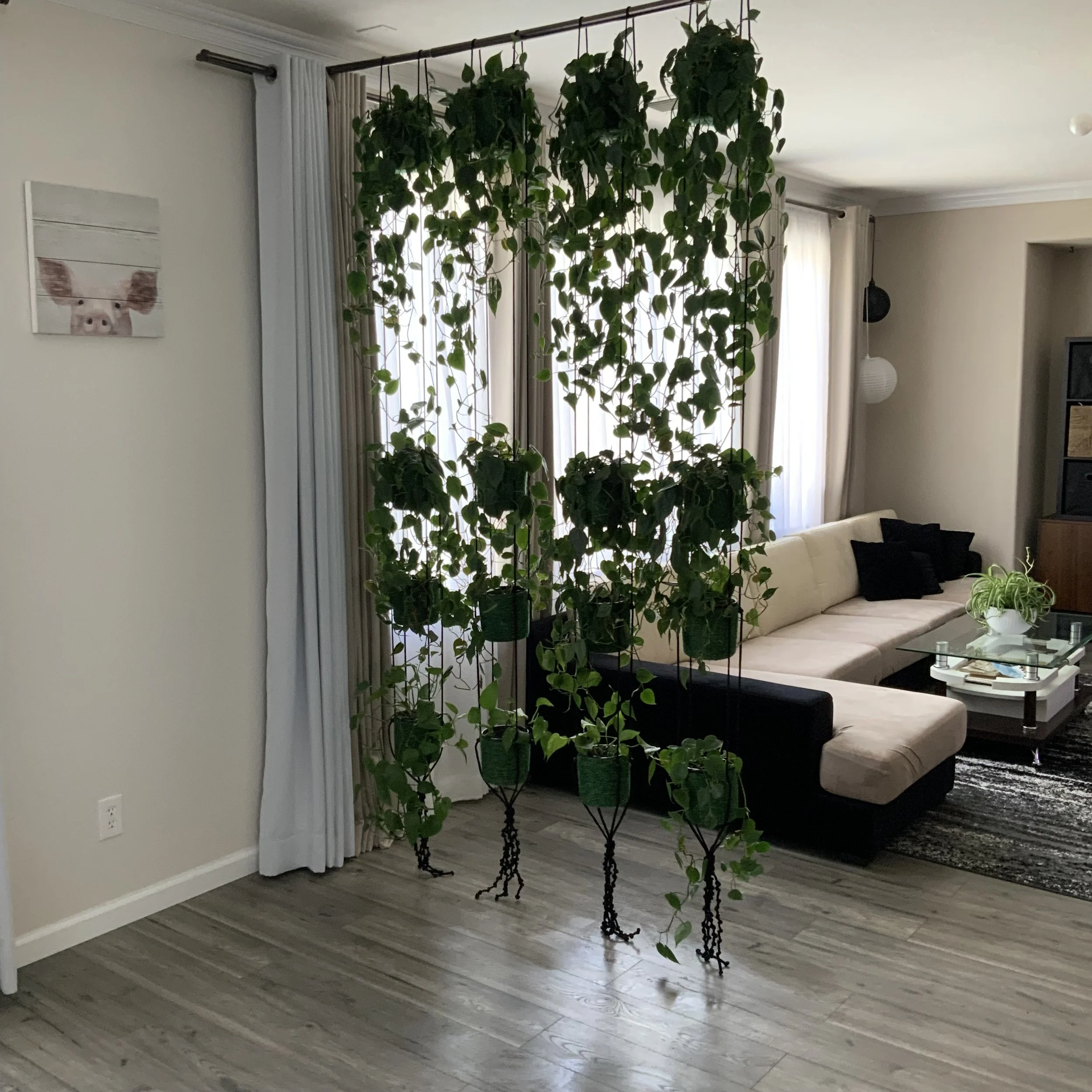 Living plant room divider made from a row of vertical hanging planters