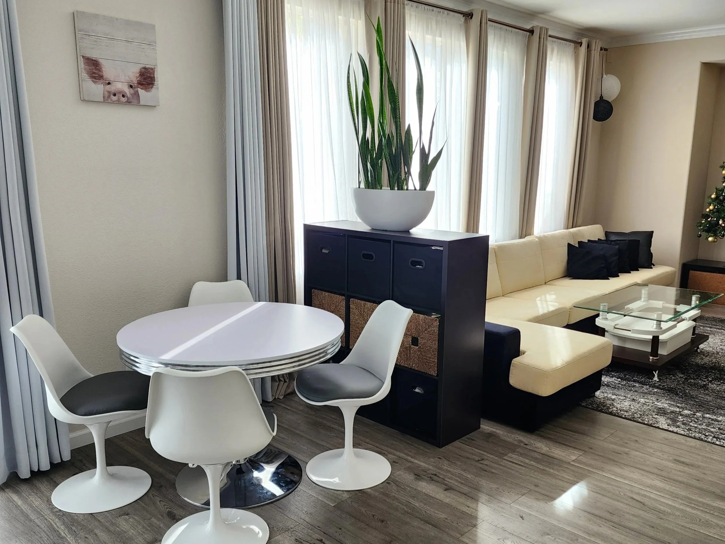 Black cube storage unit with a large plant used as a divider between the living and dining areas