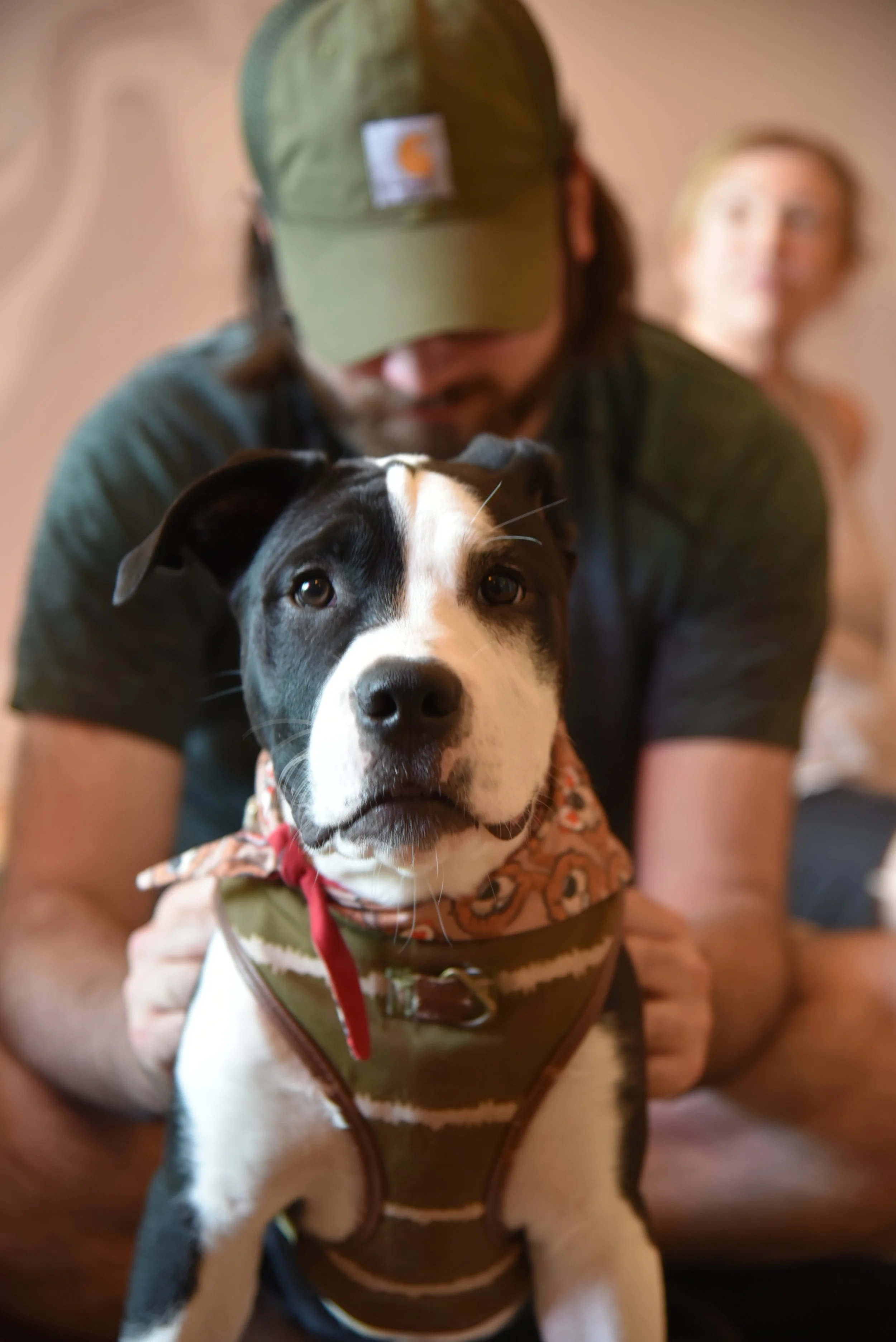 pups27.JPG