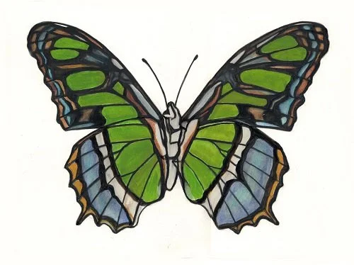 green and blue butterfly 10x14.jpg
