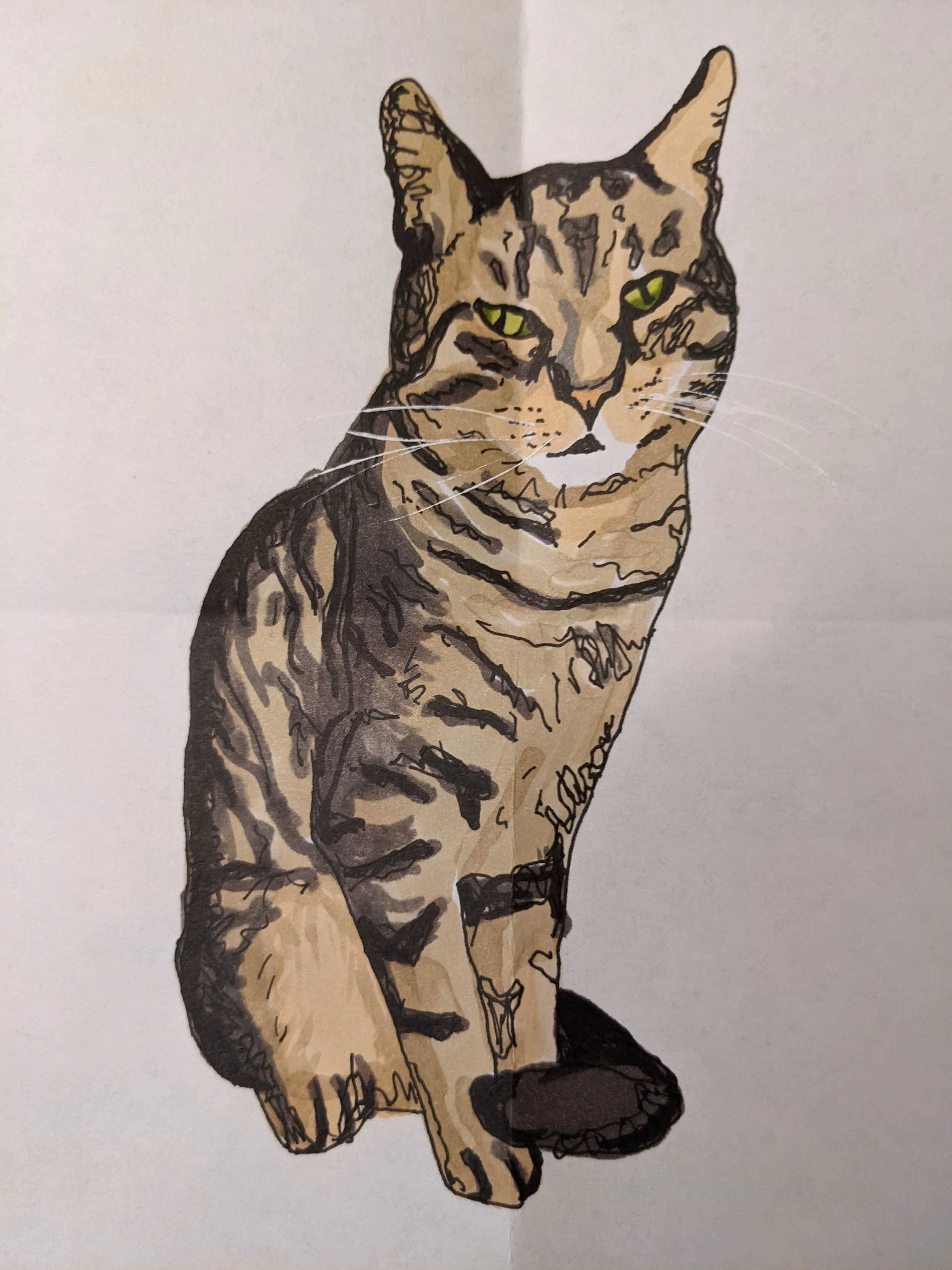 Hand-drawn illustration of a cat with green eyes, sitting on the ground, with detailed fur markings and an alert expression.