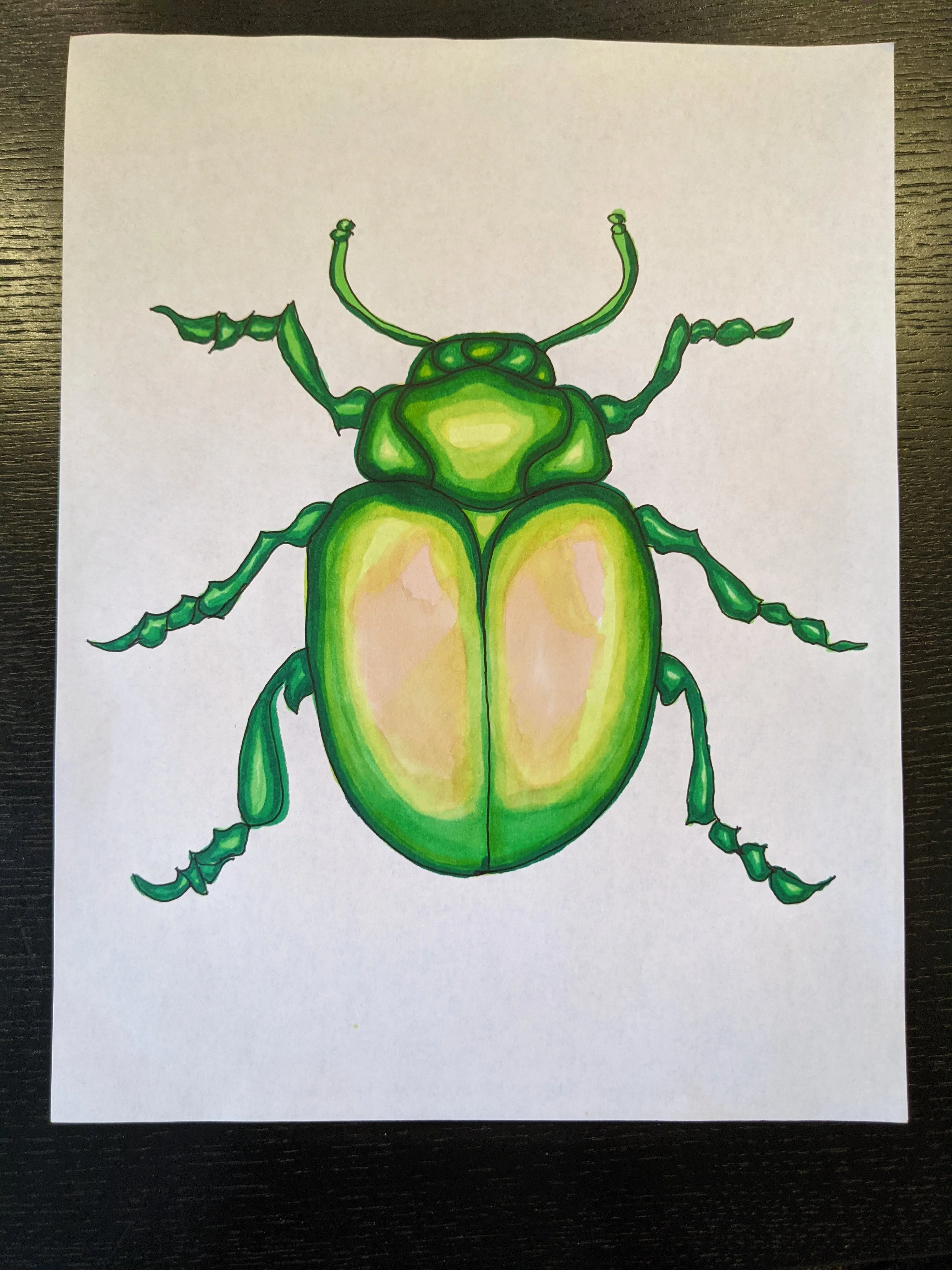 Colorful illustration of a green beetle on a white sheet of paper.