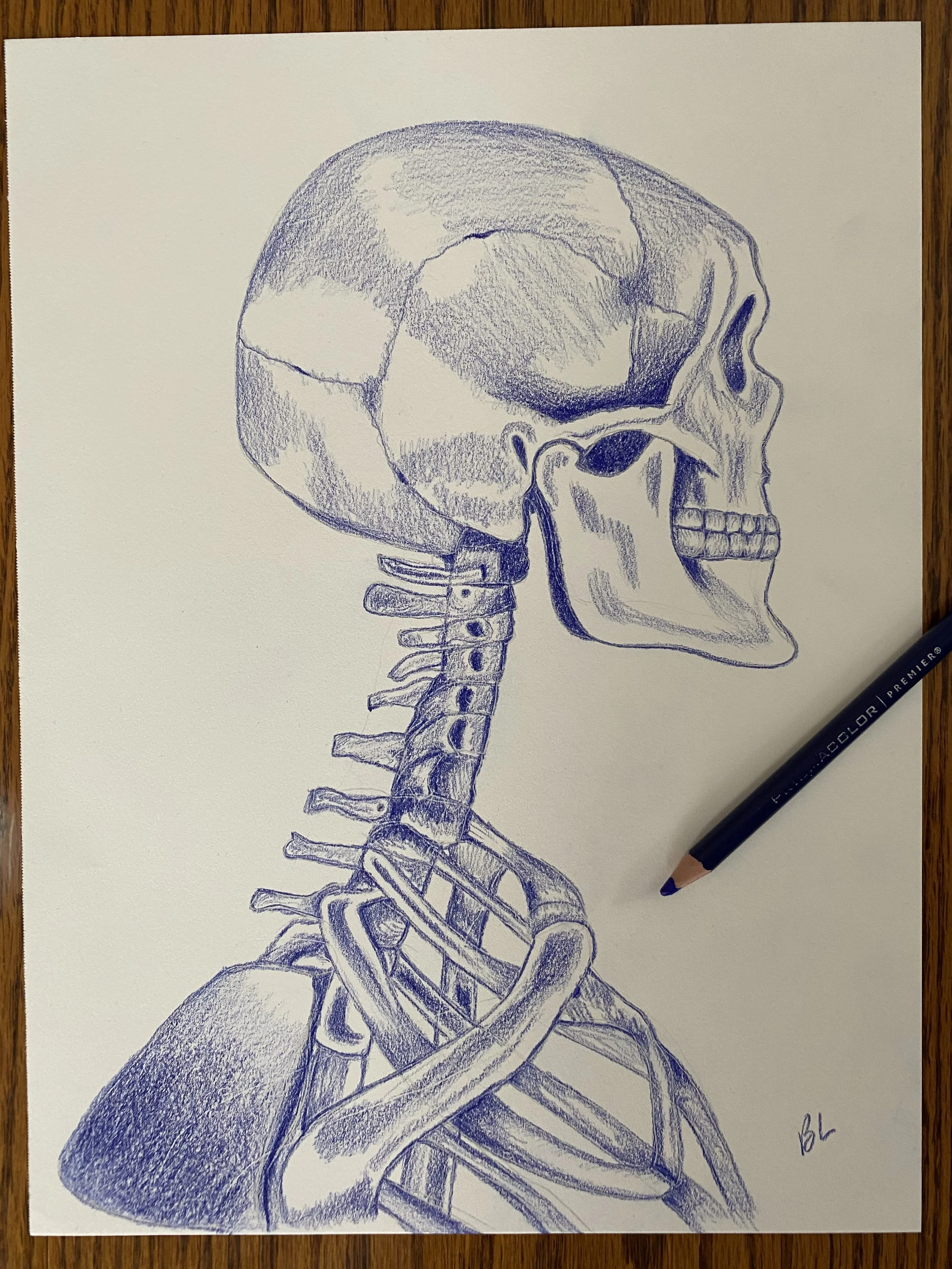 Skull