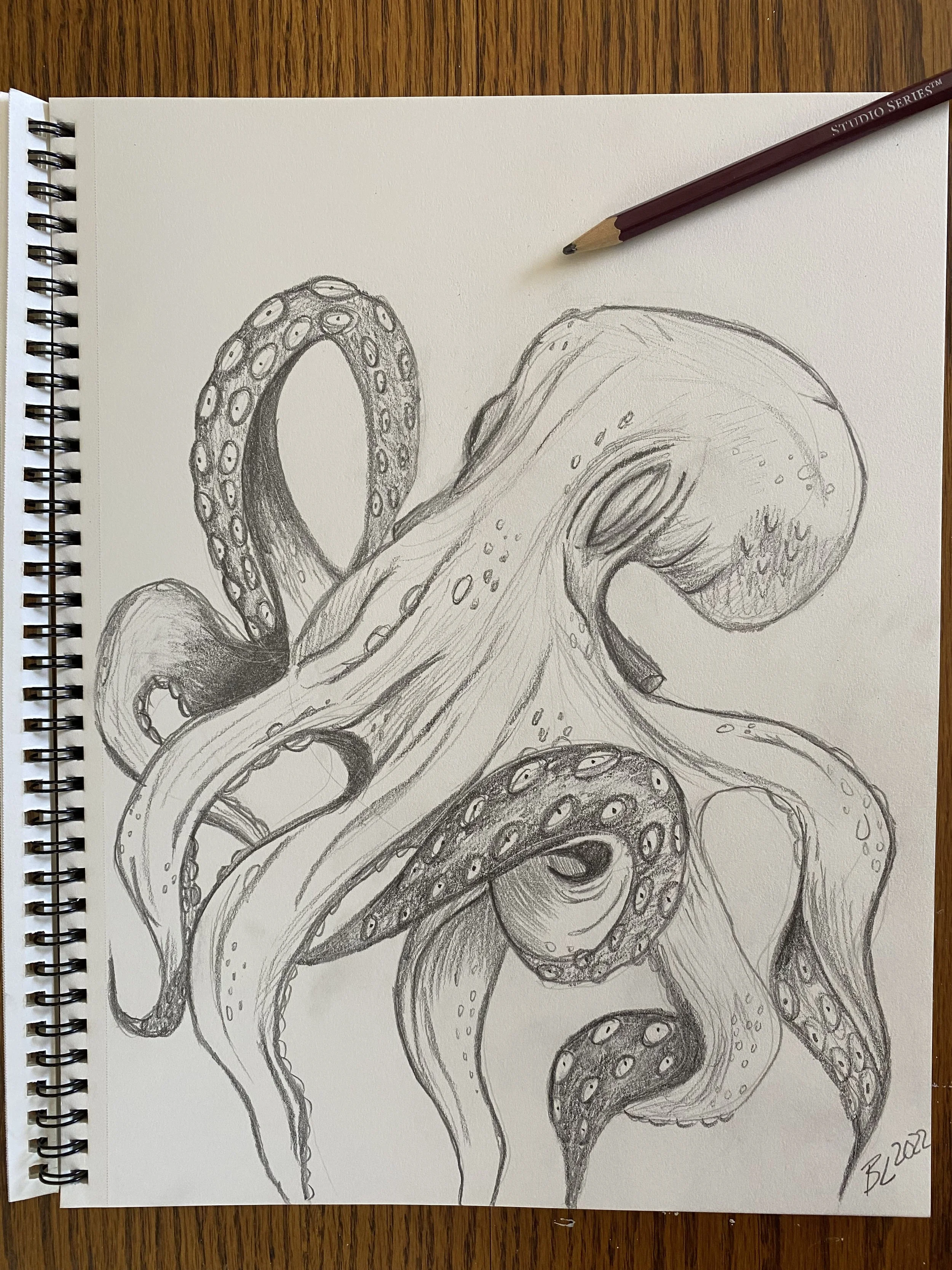 Octopus