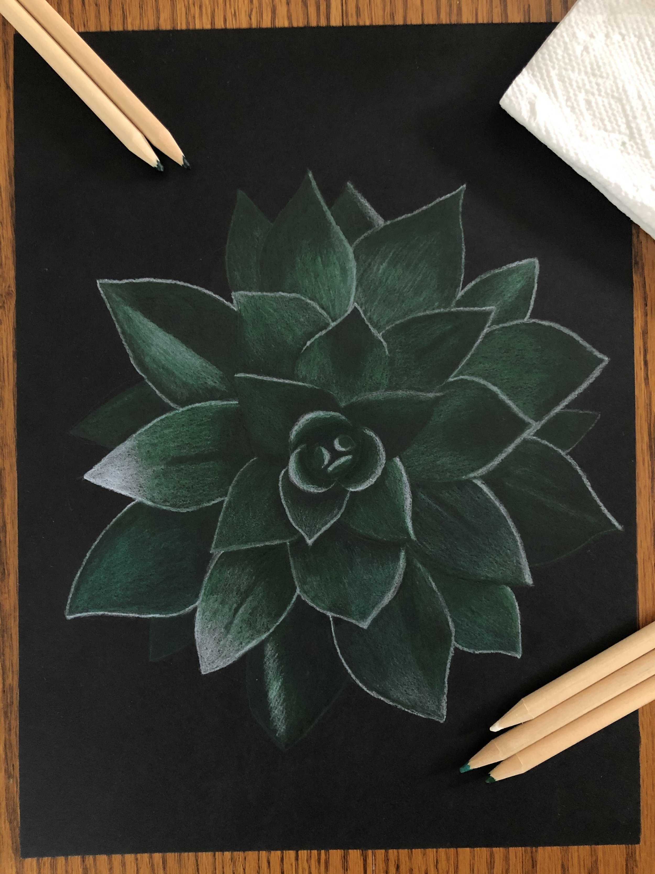 Succulent