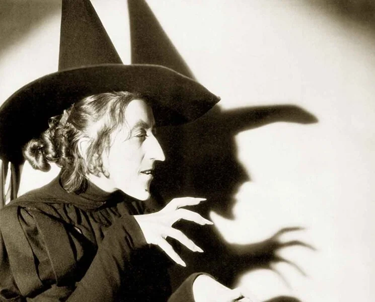 Wizard of Oz Campaign
