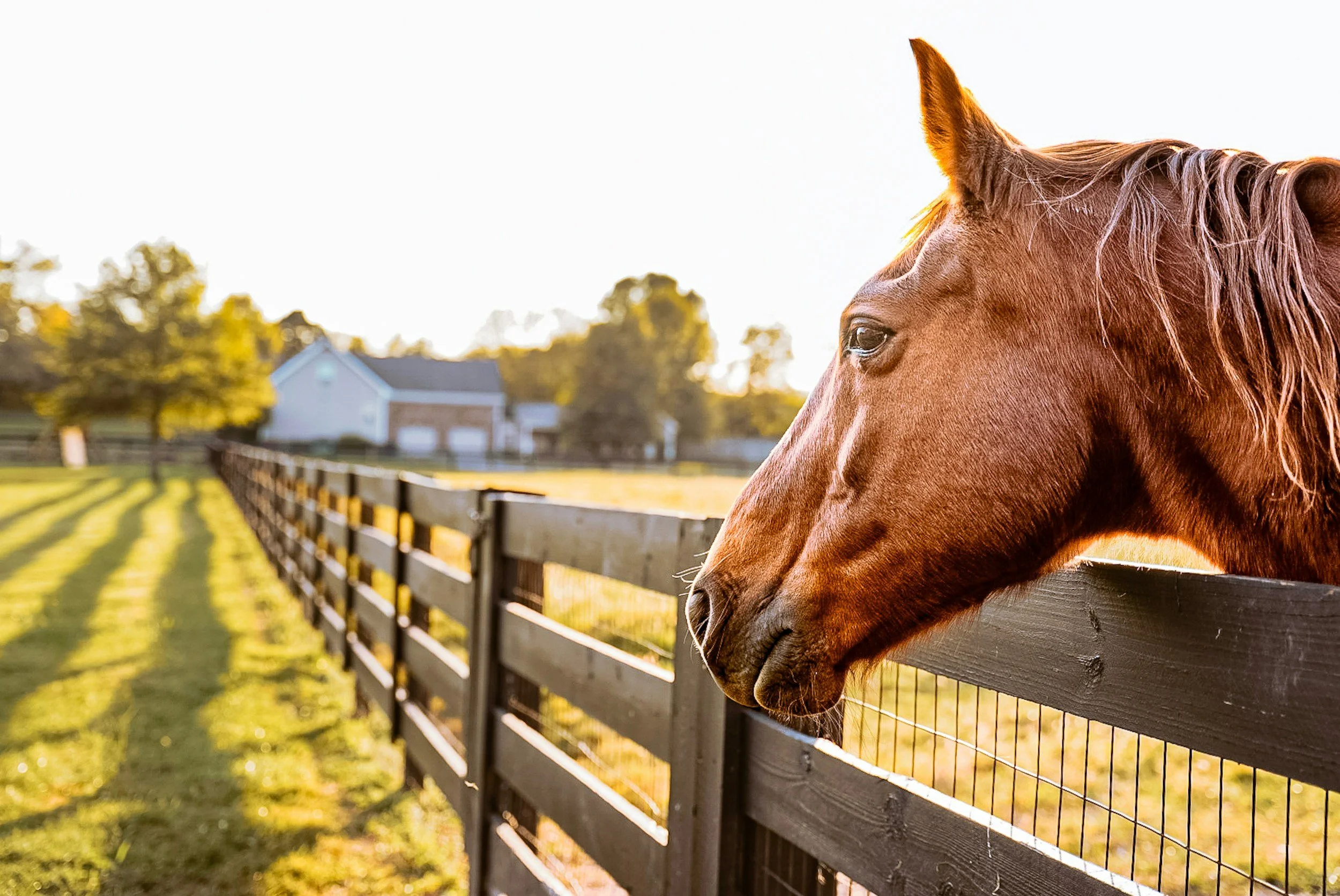 Is Williamson County TN a Good Place to Live? 5 Questions Relocating Buyers Ask