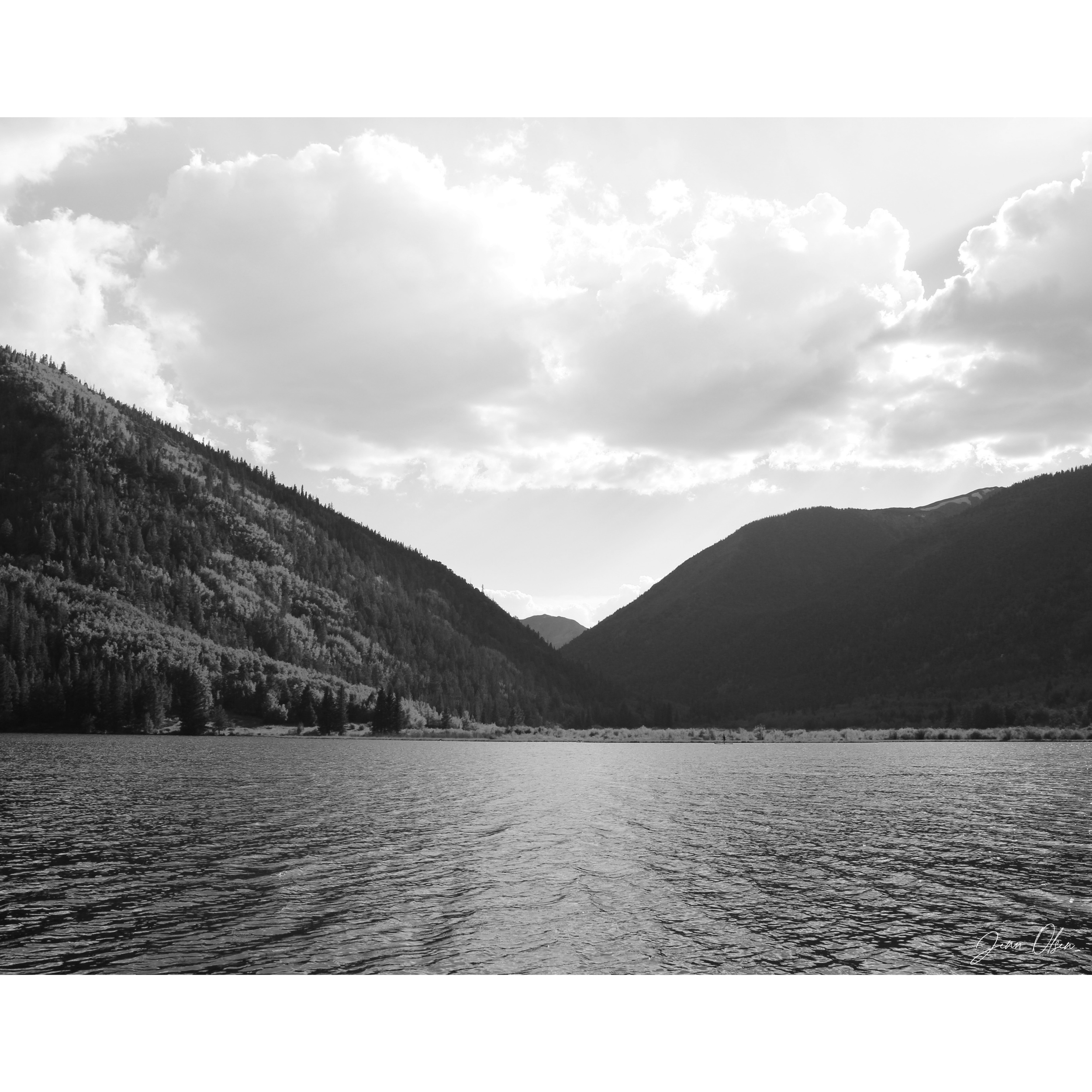 "Cottonwood" Print